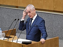 Онищенко объяснил смысл налога на мясо