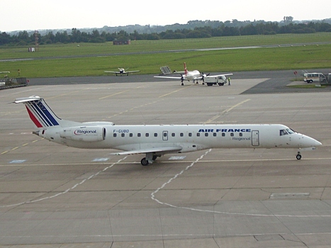 Во Франции самолет с министром-делегатом выкатился за пределы полосы