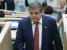 В Совфеде прокомментировали заявление ФРГ об операции Турции в Сирии