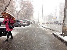 К выходным Центральную Россию ждет потепление