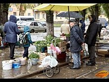 В Башкирии вступил в силу закон об отмене штрафов за уличную торговлю