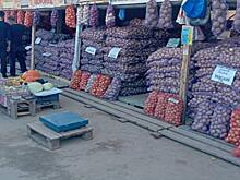 В Костроме аграриям предоставили 10 ярмарочных площадок для реализации выращенного урожая