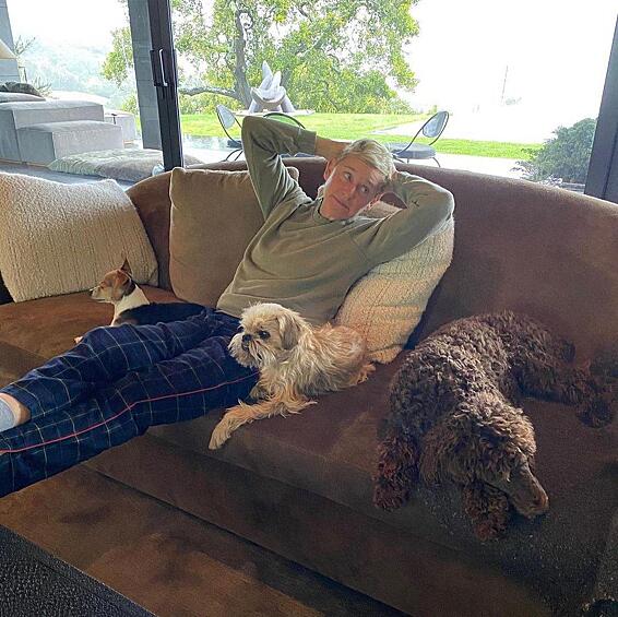 Эллен доверяют вести самые популярные церемонии в мире, "Эмми", Грэмми", "Оскар", она участвовала в документальных проектах, благотворительных инициативах, снималась в ситкомах.