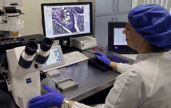 В Сибири создали наночастицы для борьбы с онкозаболеваниями