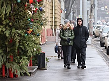 Нижегородские биологи рассказали о последствиях длительной январской оттепели