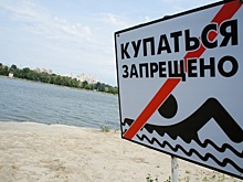 Не верь слухам! Читай «ФедералПресс». СФО. Выпуск № 202