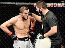 UFC: Царукян — Гамрот, где смотреть бой Умара Нурмагомедова, Шавката Рахмонова и Сергея Морозова, онлайн-трансляция