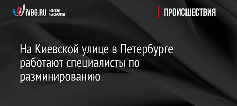 На Киевской улице в Петербурге работают специалисты по разминированию