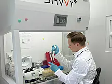 Российские учёные открыли в почве хищный микроорганизм, обычно живущий в воде