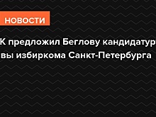 ЦИК предложил Беглову кандидатуру главы избиркома Санкт-Петербурга