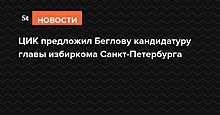 ЦИК предложил Беглову кандидатуру главы избиркома Санкт-Петербурга