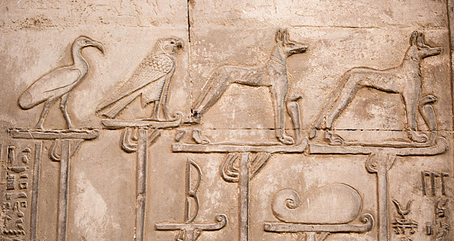 Гавкающие символы: собаки в мифологии