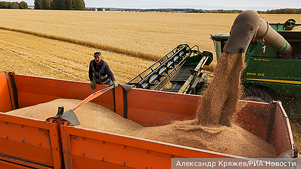 Почему технологичность посевов российских зерновых резко упала