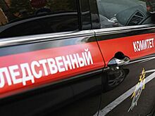 СК выяснит обстоятельства падения строительной люльки с дома в Москве
