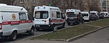 В Покровской больнице Петербурга прокомментировали очередь из скорых