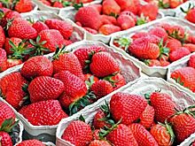 В Роспотребнадзоре объяснили, как выбрать самую вкусную клубнику