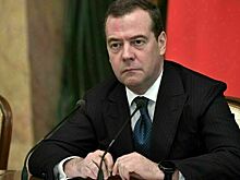 Медведев призвал усилить контроль в этнических анклавах мигрантов