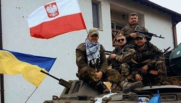 Мирошник проинформировал, что Киев использует поляков на передовой как "заградотряды"