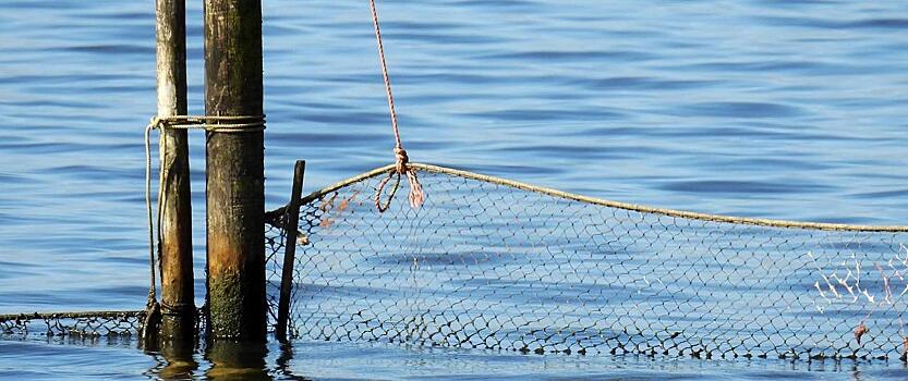 Под Комсомольском в рыбацкие сети попал один из 4 пропавших рыбаков