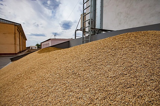 Экспортёры из РФ не поддержали точечные льготы при поставках пшеницы