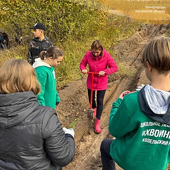 В Калужской области высадили три тысячи елей