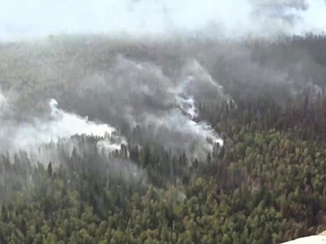 Площадь лесных пожаров в Сибири приближается к 80 тыс. га