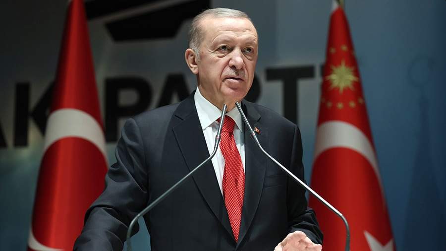Эрдоган пригрозил премьеру Греции Мицотакису маршем «бешеных турок»