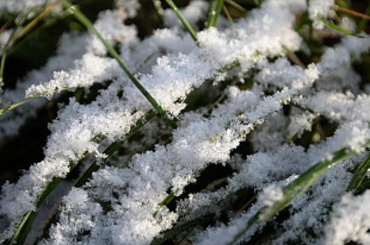 Новосибирцы увидели первый снег в сентябре