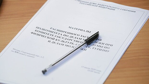 Депутаты поддержали концепцию проекта ФЗ «О молодежной политике в Российской Федерации»