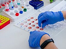 Главное о коронавирусе на 14 мая: Нагуманов на самоизоляции, у Пескова пневмония, у Морозова умер помощник