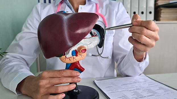 Учёные рассказали, как поддерживать здоровье печени