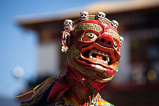 Таинственные обряды, бесконечные молитвы и фотографии трупов. Чем индийский Тибет удивил россиянина