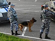 Россиянка ушла отмечать День города во всем белом и исчезла