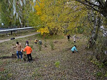 Берега речки Левинки привели в порядок