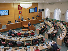 Депутаты: Правительство Самарской области справилось с ситуацией в год пандемии