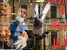 Двое мужчин подрались за шаурму в Подмосковье