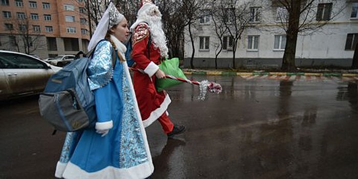 Хождение по елкам. Дед Мороз под прикрытием в квартирах москвичей