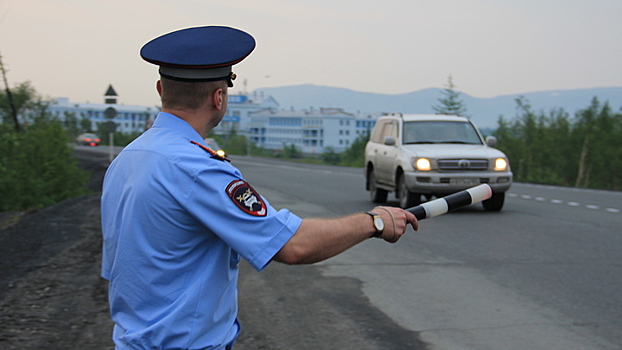 ГИБДД устроит в Воронеже массовые проверки автомобилистов