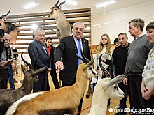 Екатеринбургский экс-чиновник подстрелил 250 экзотических животных