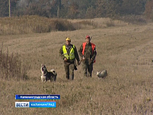 В Калининградской области открылся сезон охоты на парнокопытных