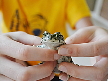 Факты, в которые напрасно верили годами