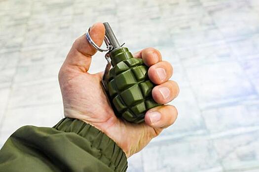 Туристы оставили муляж гранаты в Сочи