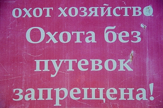 Иловлинец застрелил товарища в ходе незаконной охоты