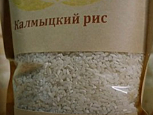 В Калмыкии развивается рисоводство