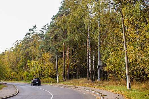 Комлесхоз рассказал о пожарной обстановке в Подмосковье