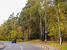 Комлесхоз рассказал о пожарной обстановке в Подмосковье