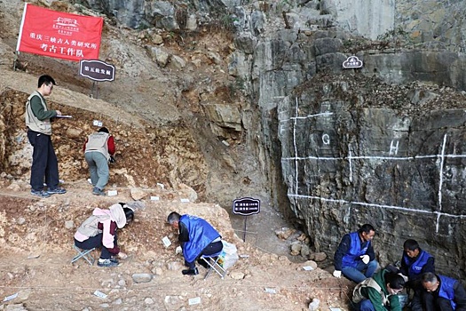 Более 230 гробниц периода Воюющих царств раскопали в Китае