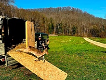 На Кубани выпустили в заказник дюжину ланей европейской породы