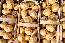 Россиянам рассказали о правилах хранения картофеля в квартире