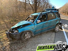 Жёсткое ДТП в Приморье: большая птица врезалась в лобовое стекло иномарки